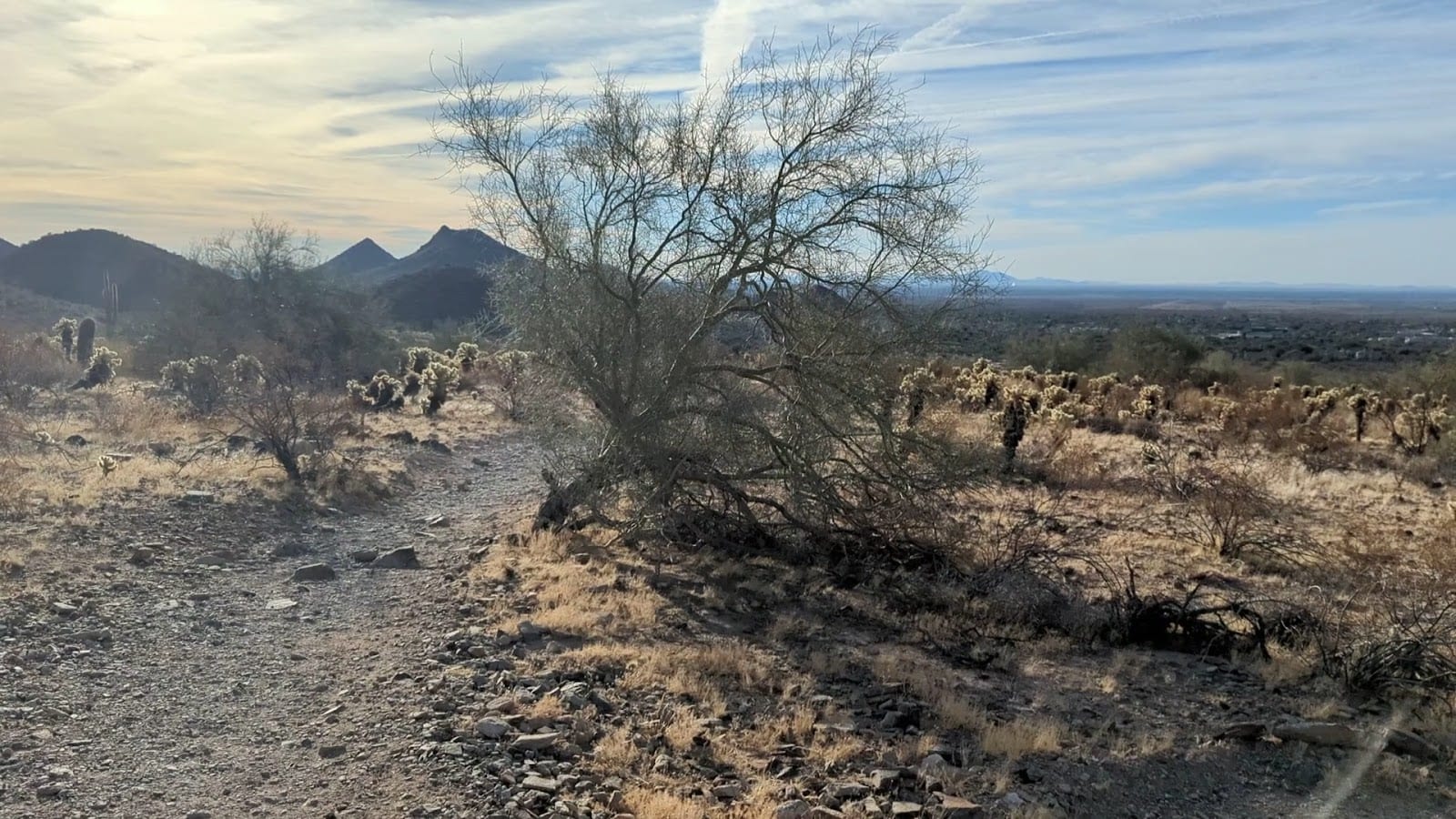 Lost Dog Wash Trailhead, photo 2