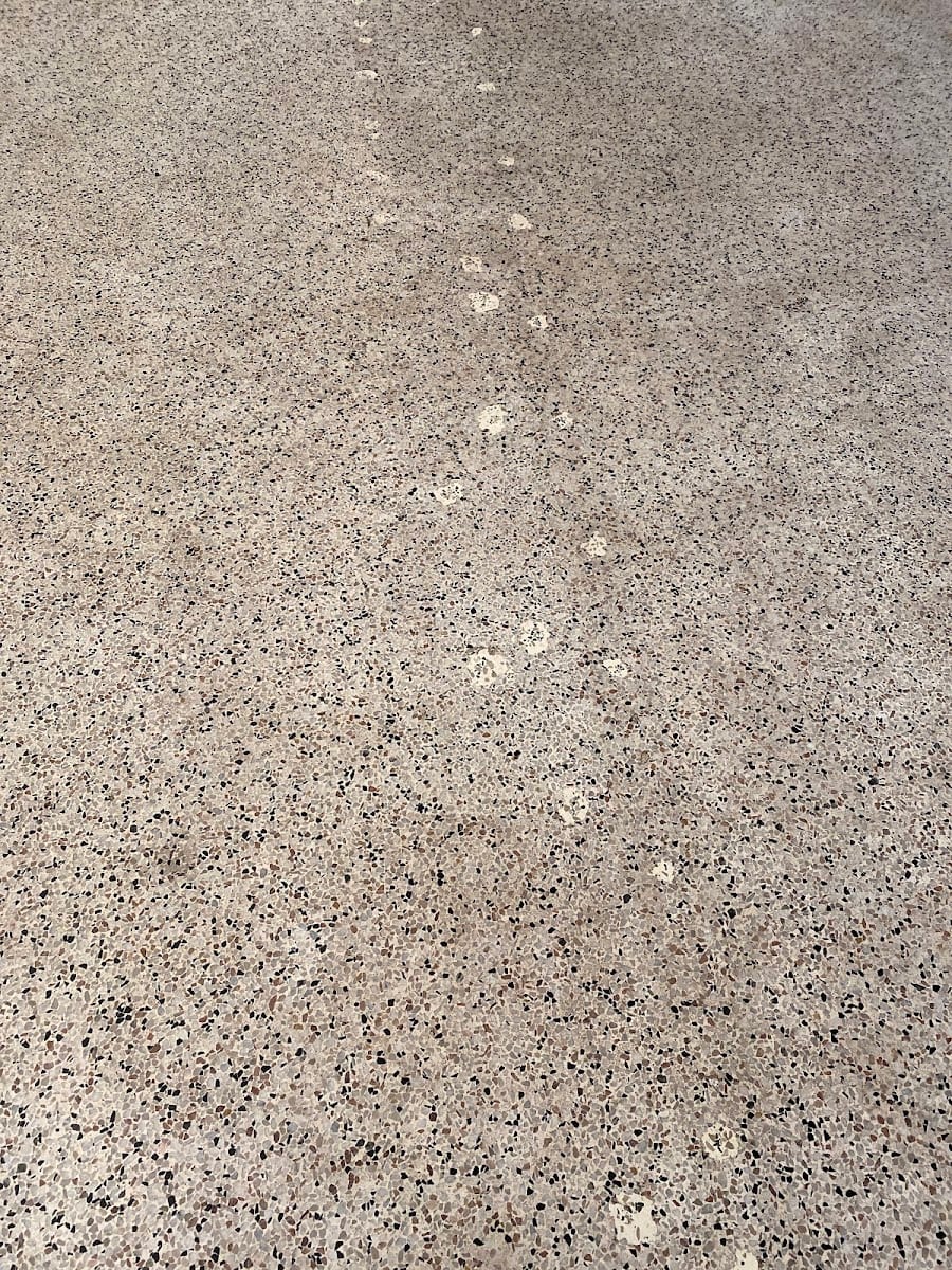 Rembrandt Surface Systems