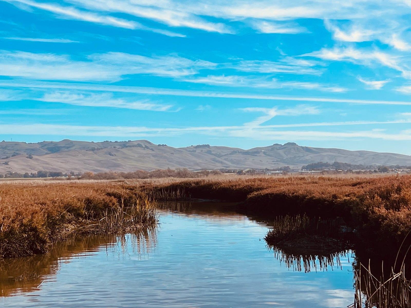 Fagan Marsh State Marine Park