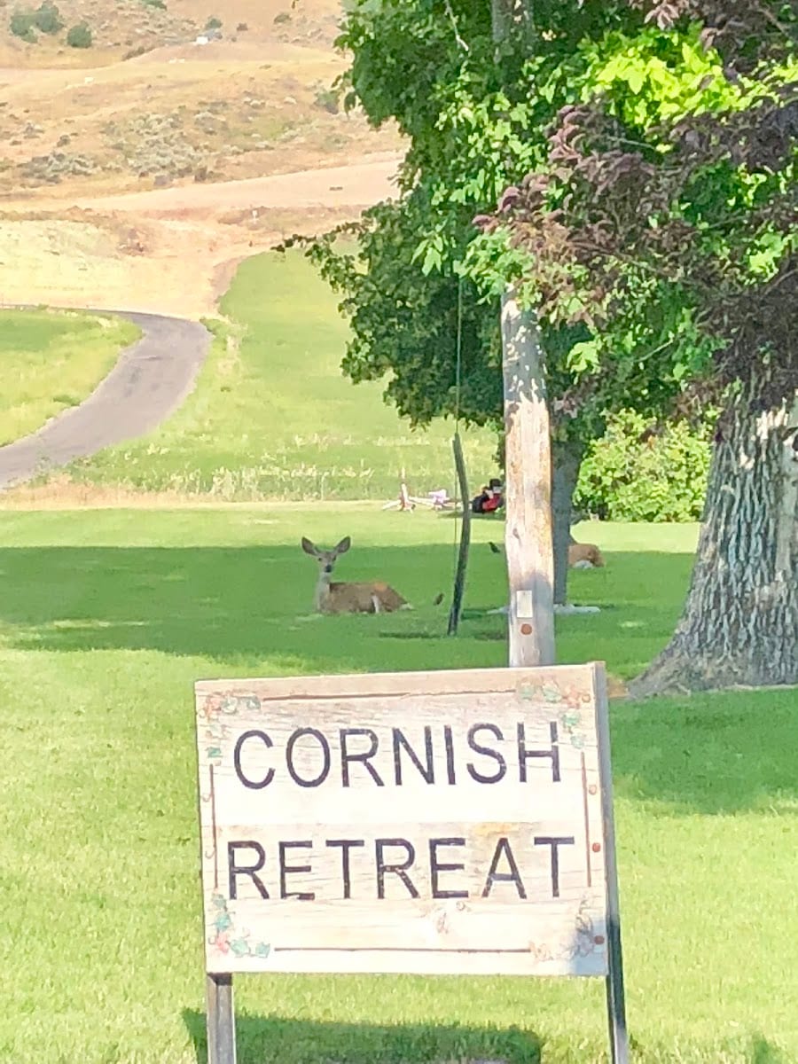 Cornish Retreat