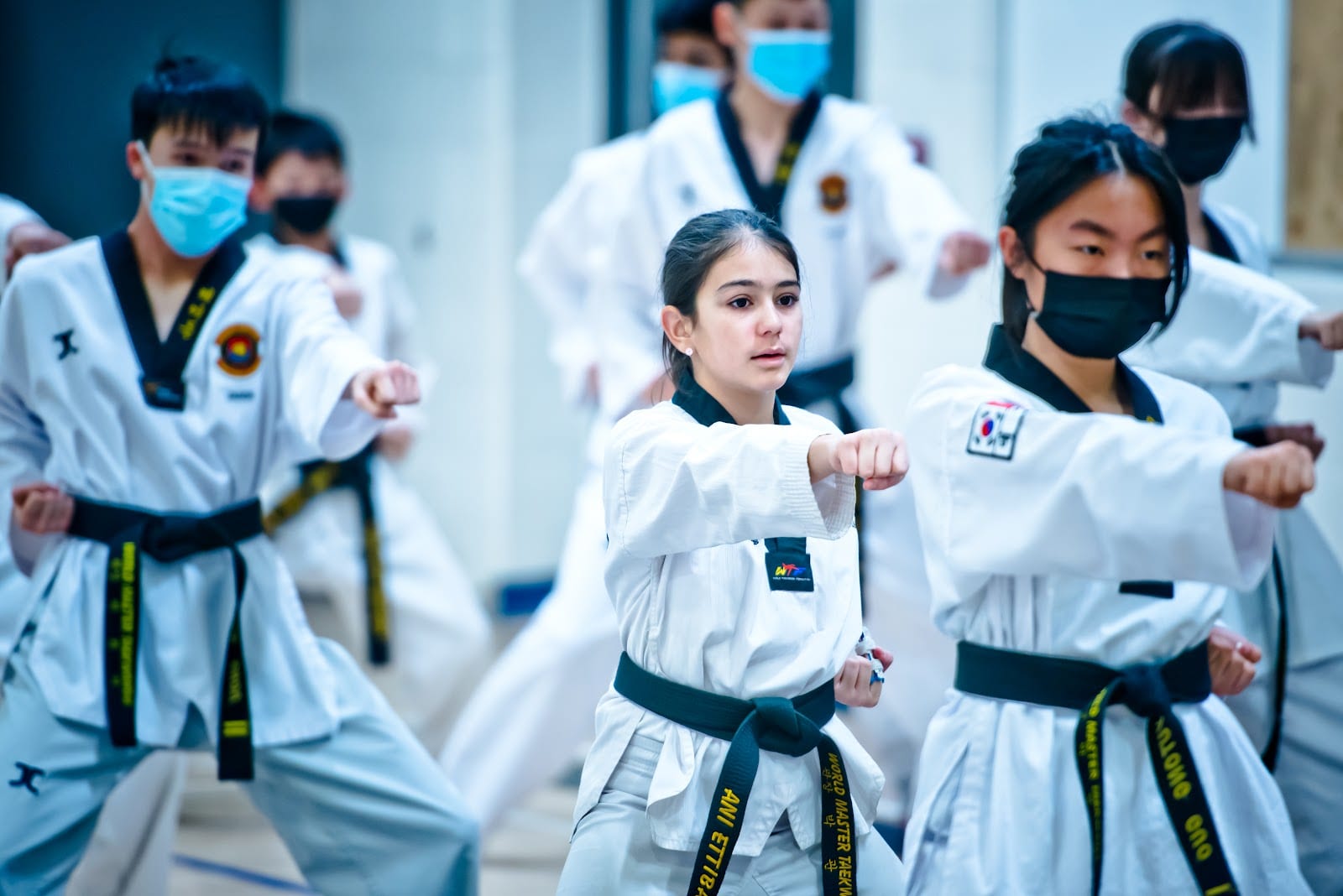 World Master Taekwondo Academy, photo 4