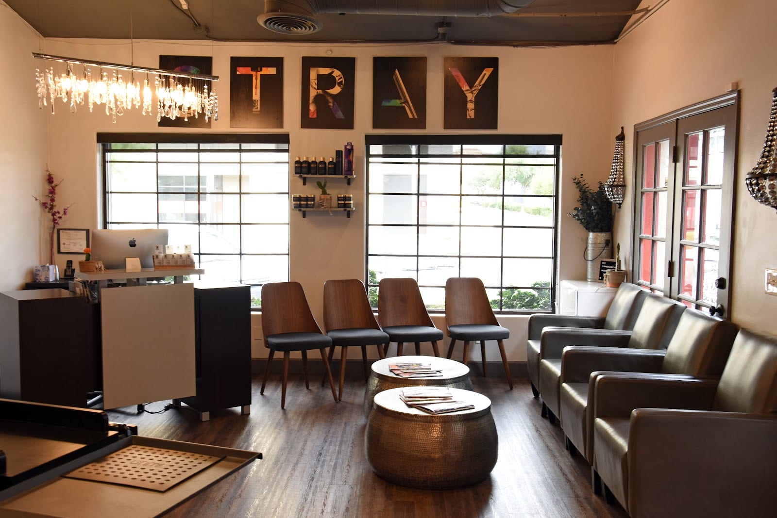 Stray Salon