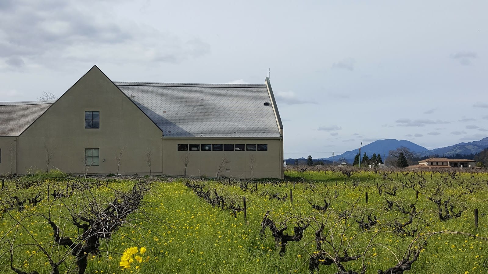 St. Helena Parks & Recreation, photo 2