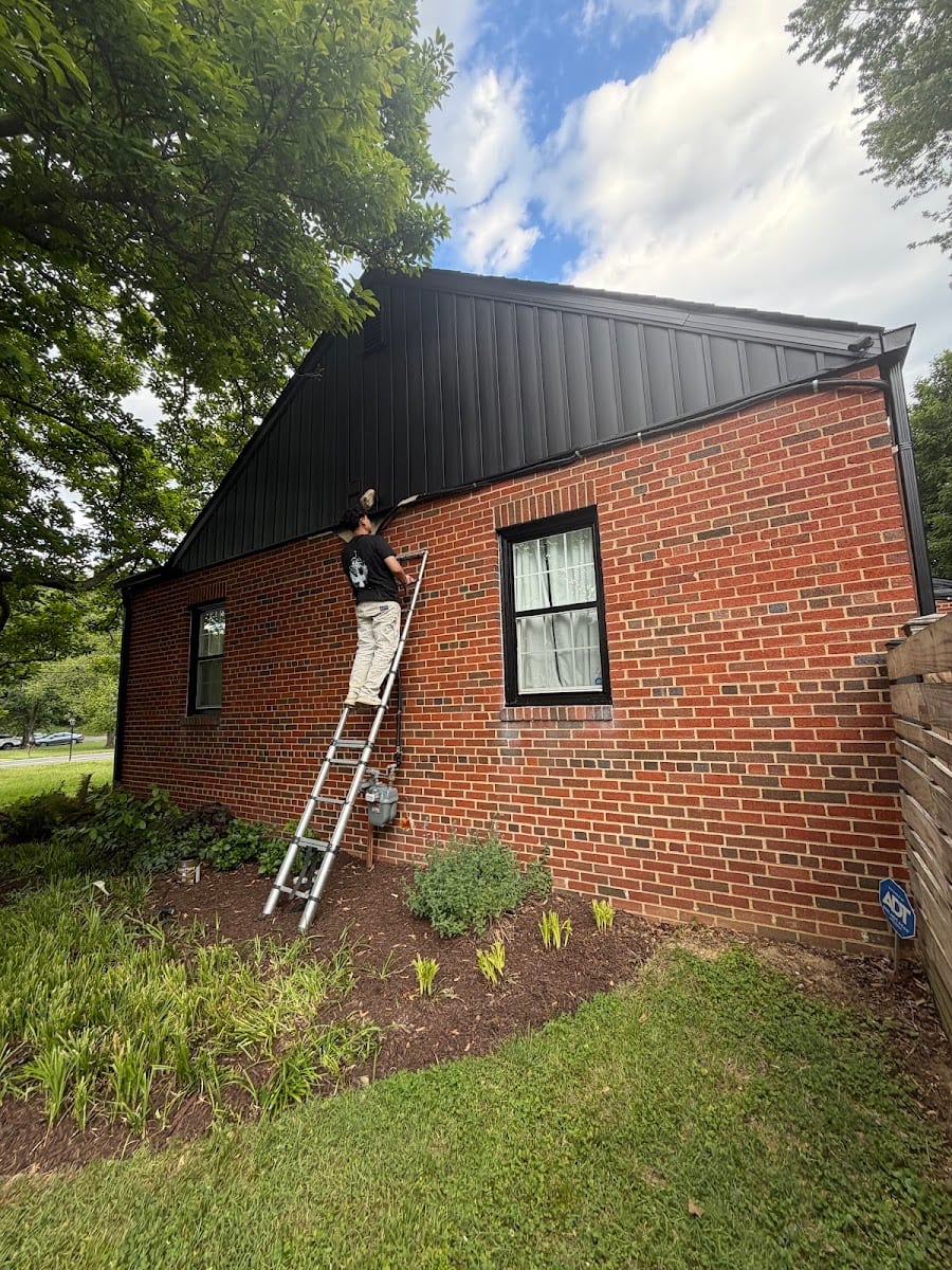 DM STAR PAINTING LLC