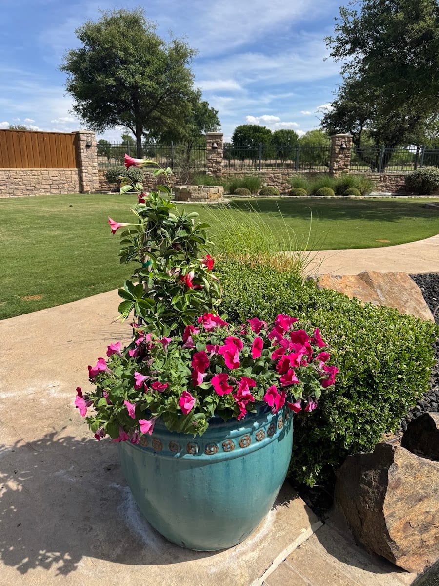 Smart Lawn & Landscape, photo 2