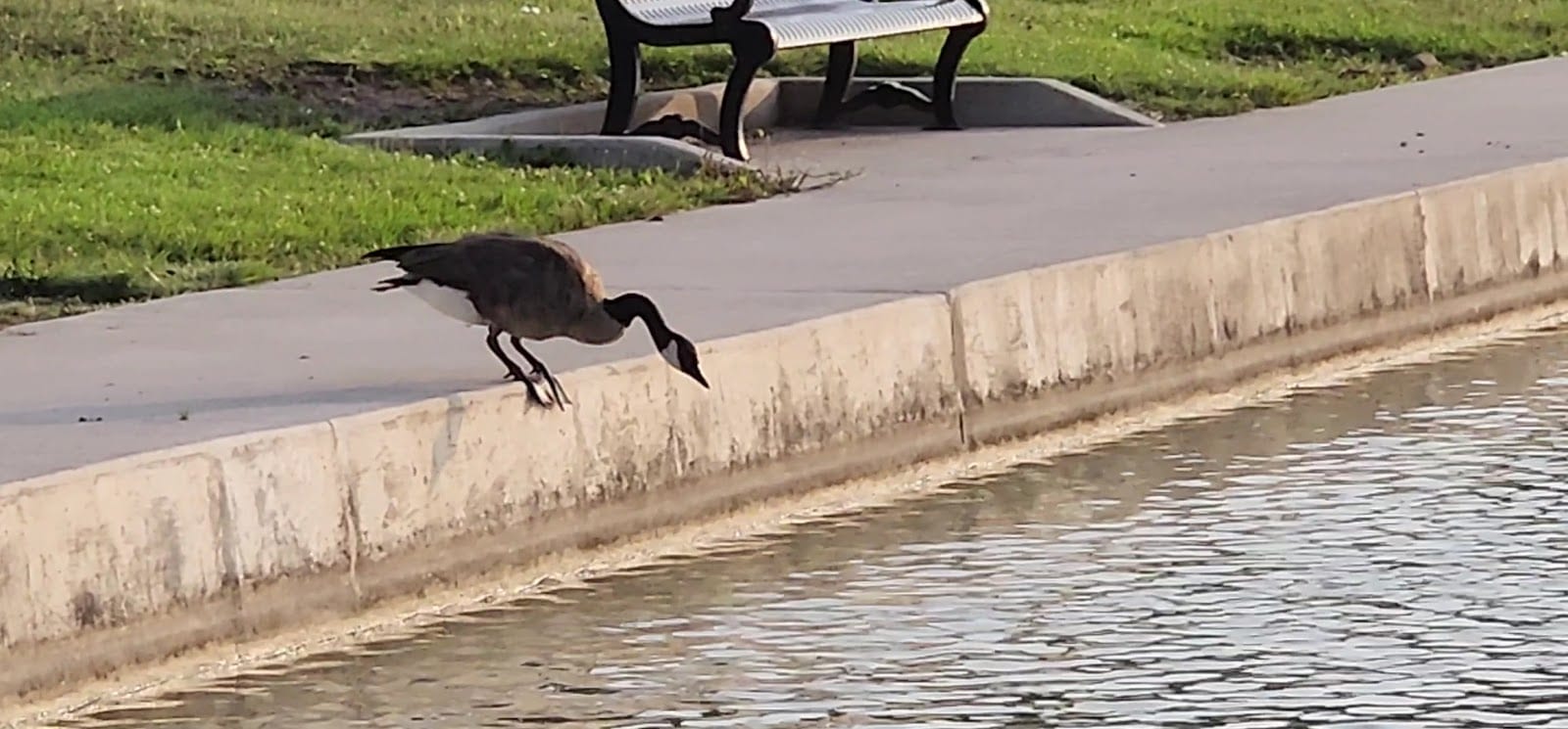 Ivan Lebamoff Reservoir Park, photo 3