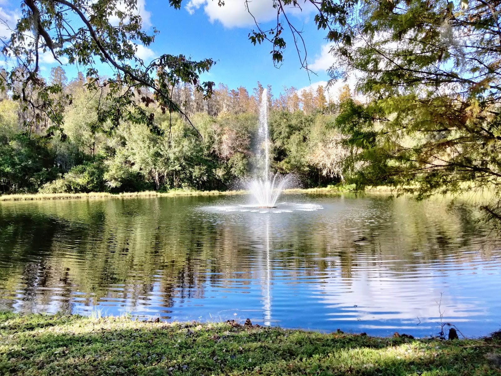 Amberly Park