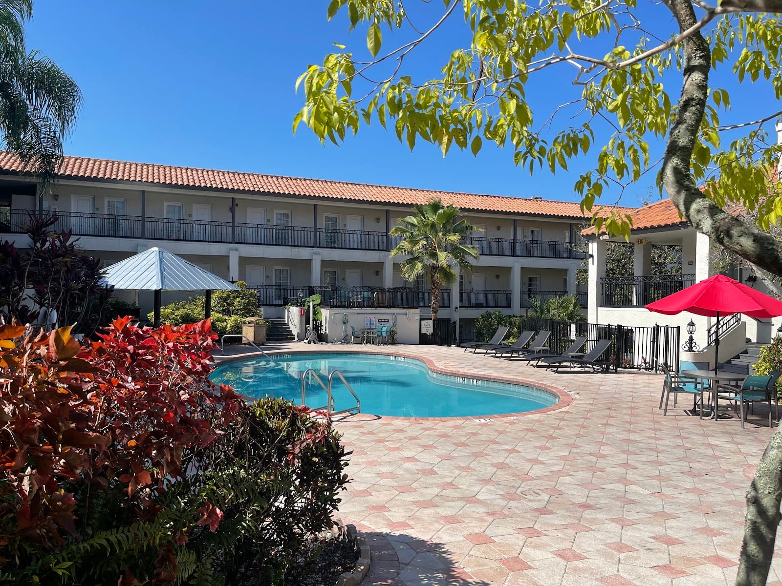 Red Roof PLUS+ & Suites Tampa - Busch Gardens, photo 2