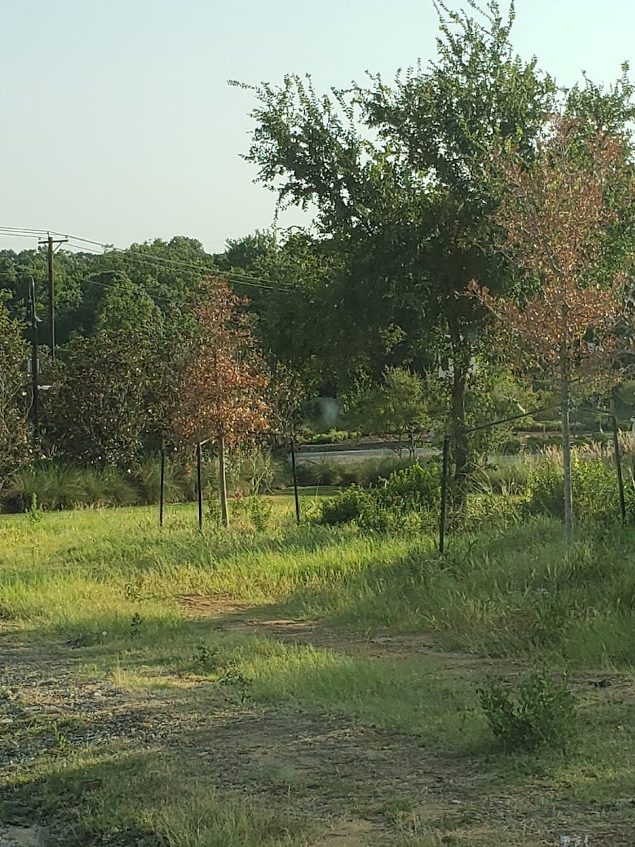 American Landscape Systems, photo 3