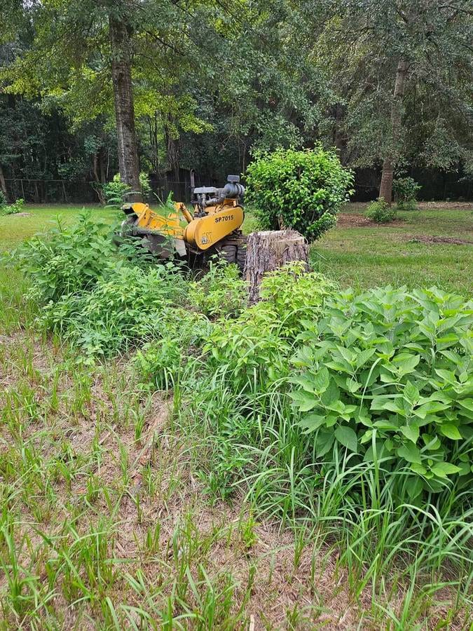 Duff-N-Stump Grindin LLC, photo 2
