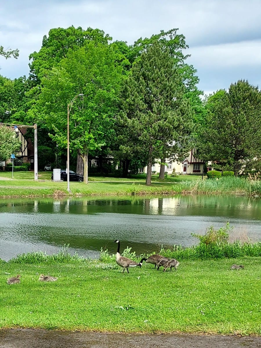 Maplewood Park, photo 3