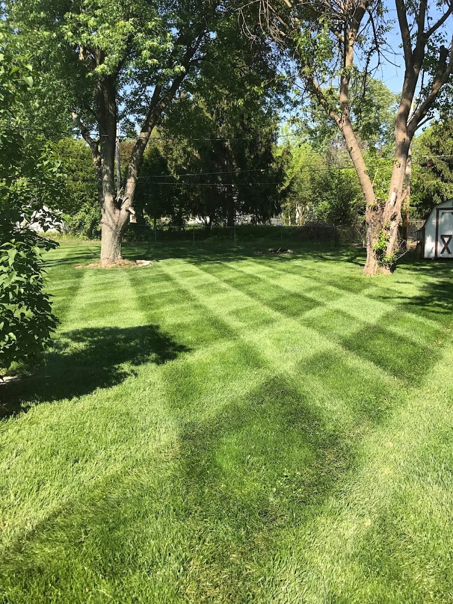 Carter's Lawn & Landscaping LLC, photo 2