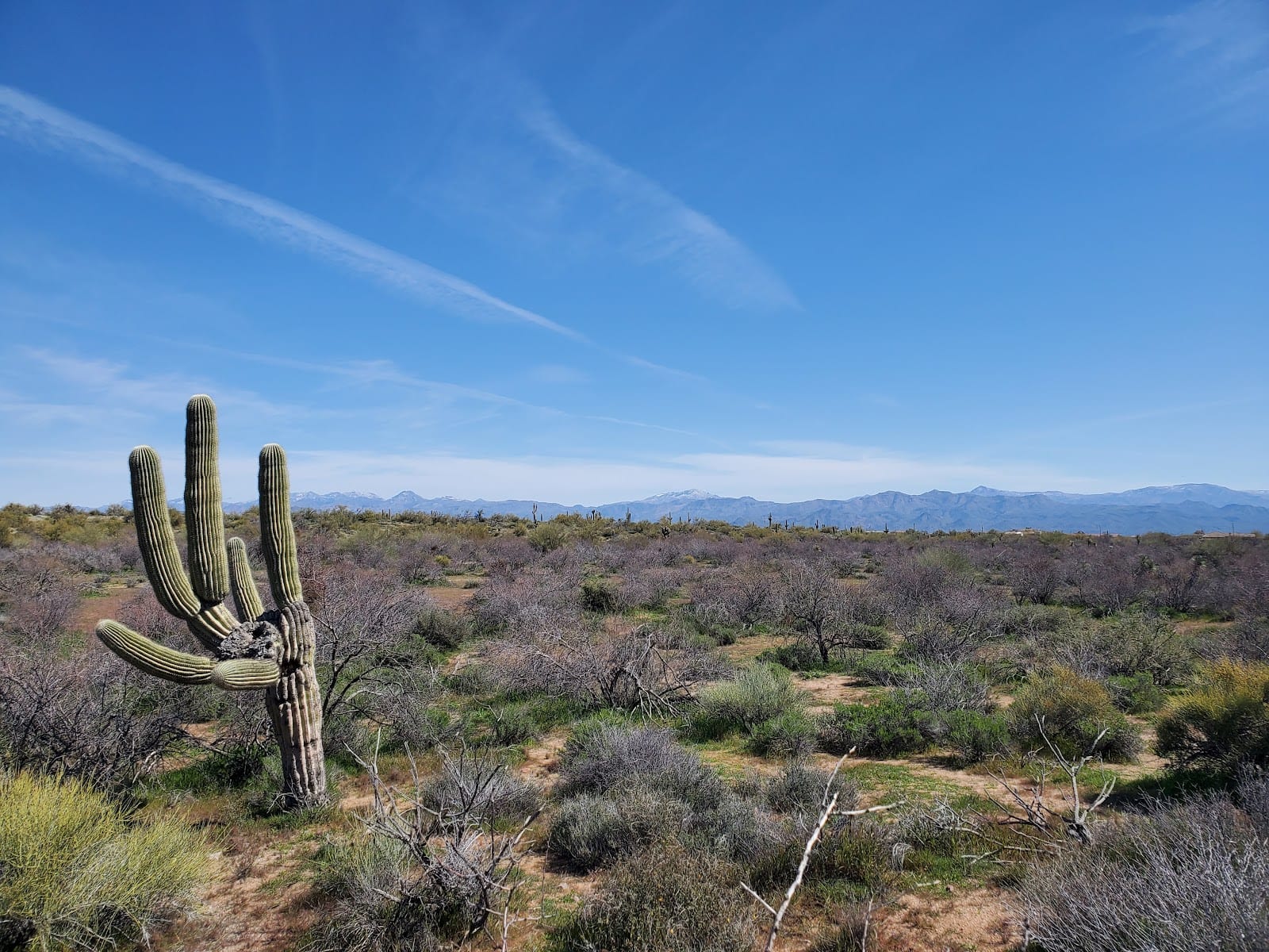Fraesfield Trailhead - Scottsdale McDowell Sonoran Preserve