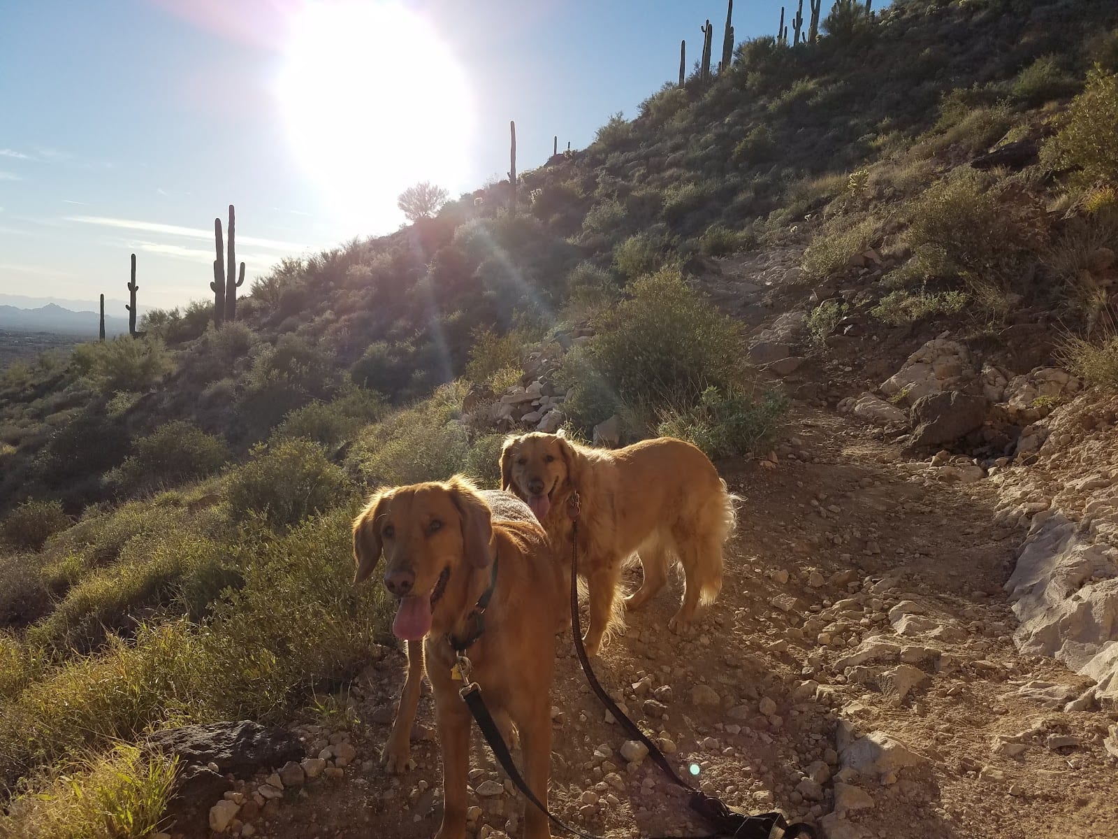 Brown's Mountain, photo 3