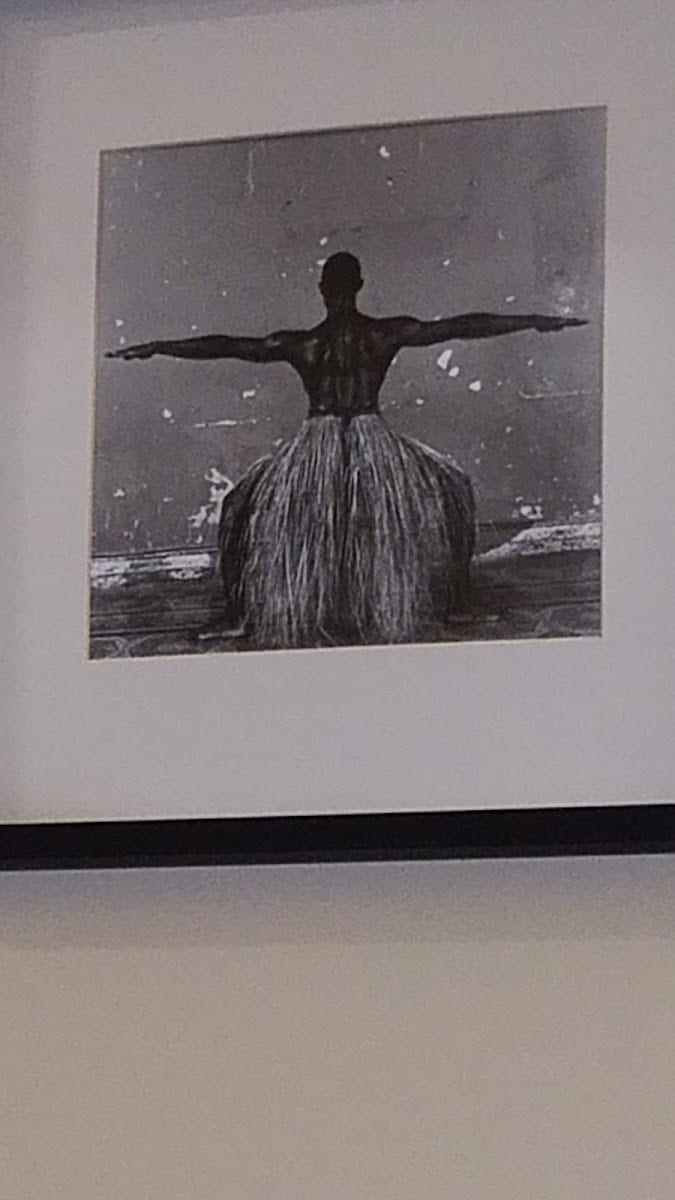 New Tampa Dance Theatre, photo 2