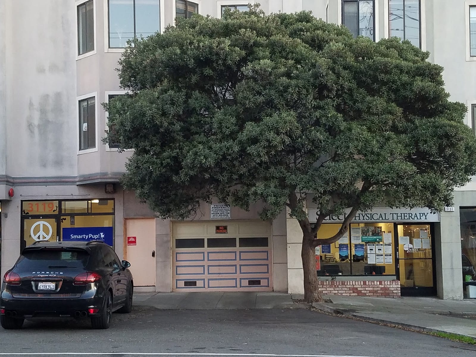 Select Physical Therapy - Sunset, photo 4