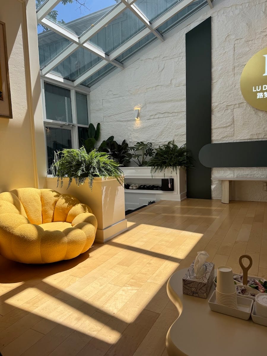 Lu Dream SPA 路梦养生馆 - Richmond hill