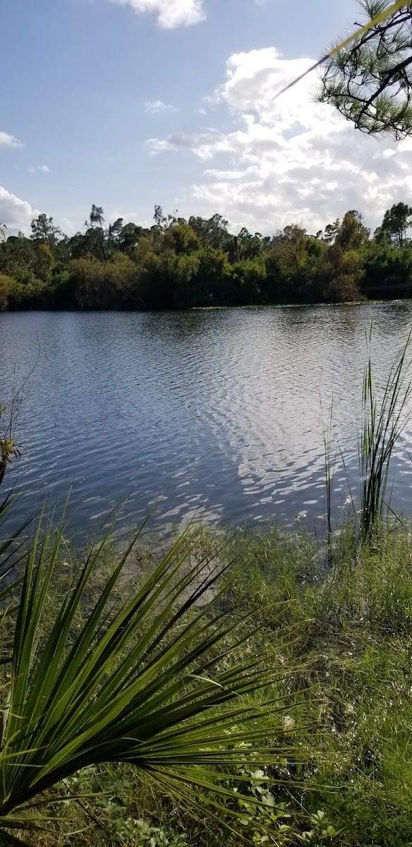 Little Wildlands