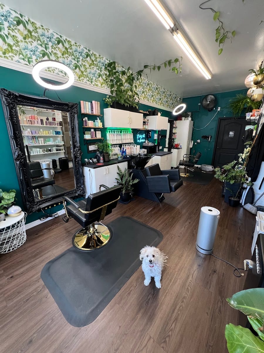 Salon Inclusion