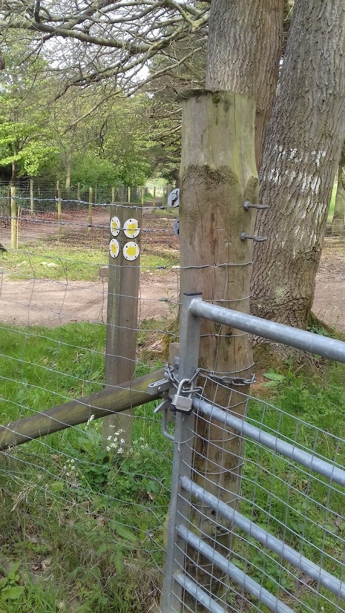 Lamer Park, photo 2