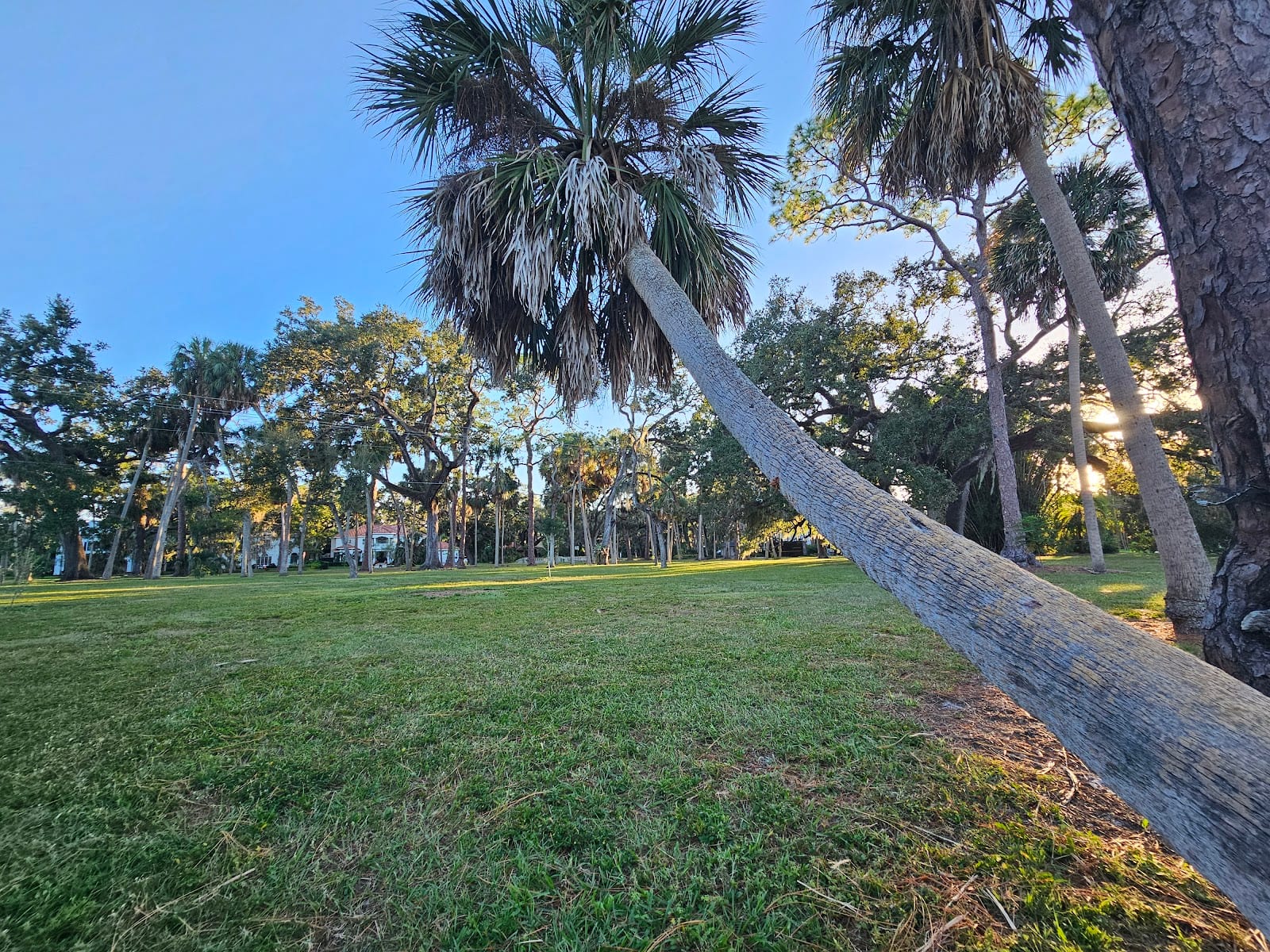 Swann Park