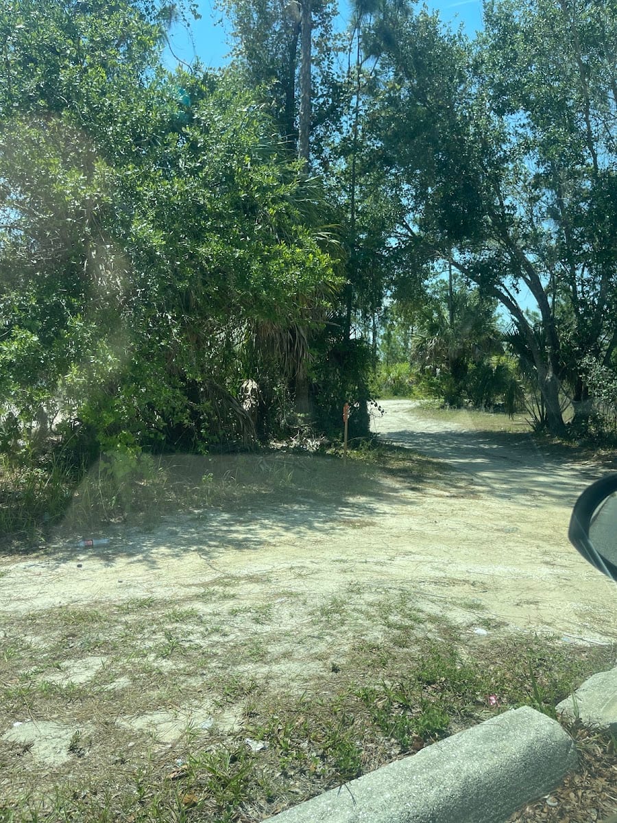 Little Wildlands, photo 3