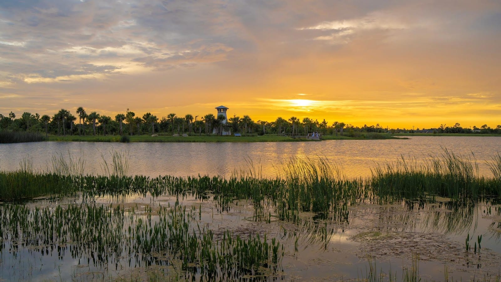 Oakbend Wellen Park by Toll Brothers, photo 2