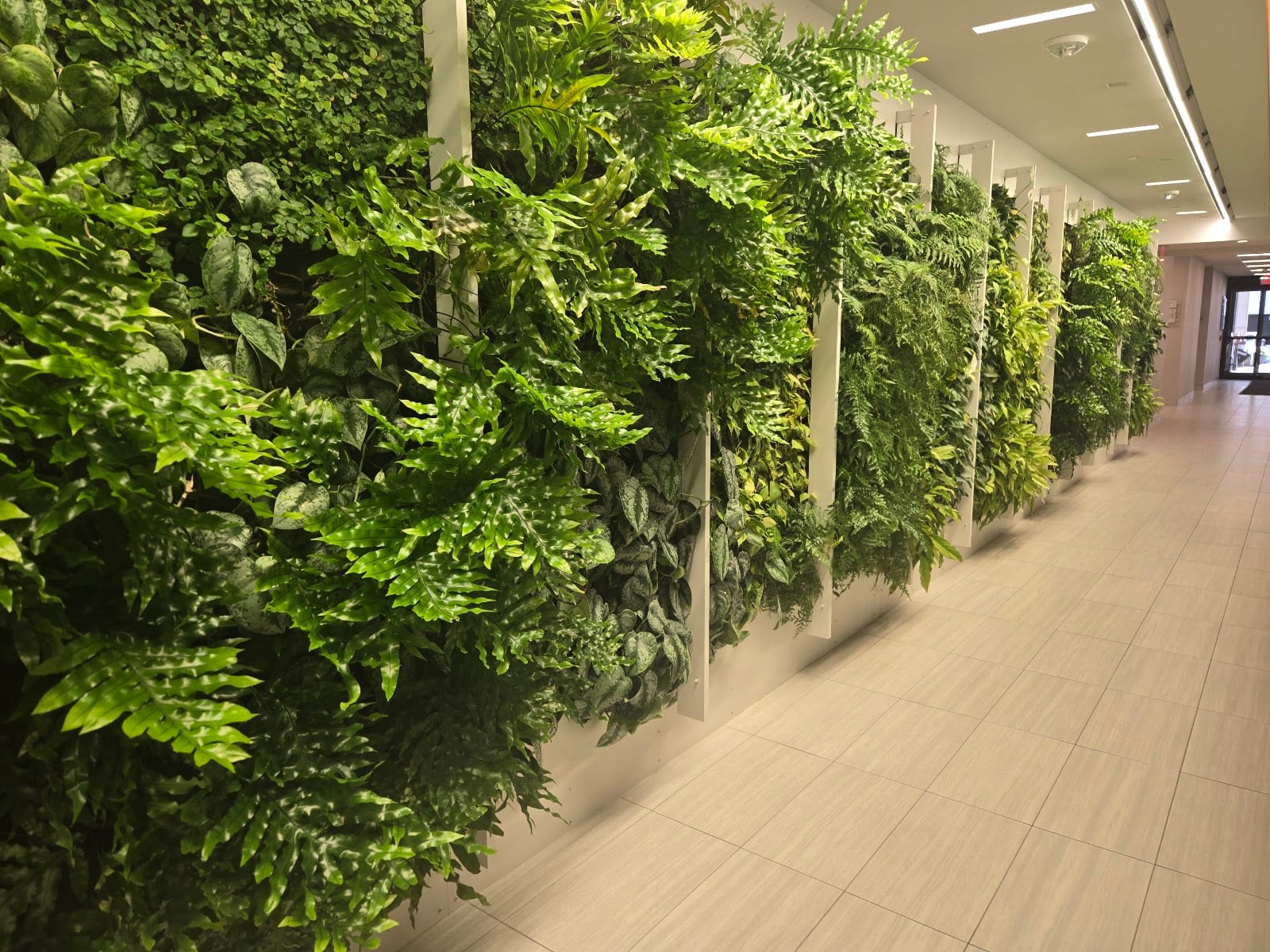 ENT & Allergy Associates - Paramus, photo 3