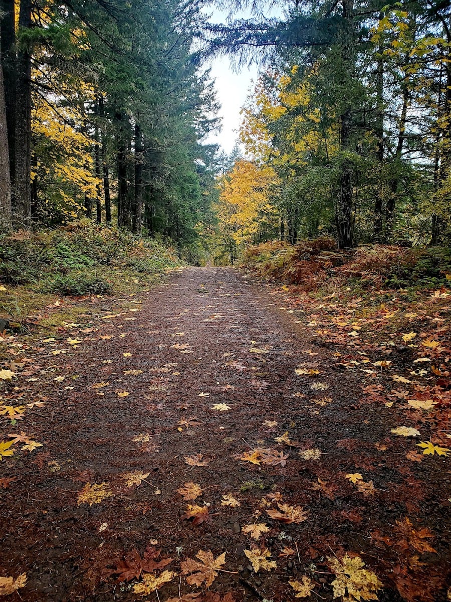 Kaiser Woods