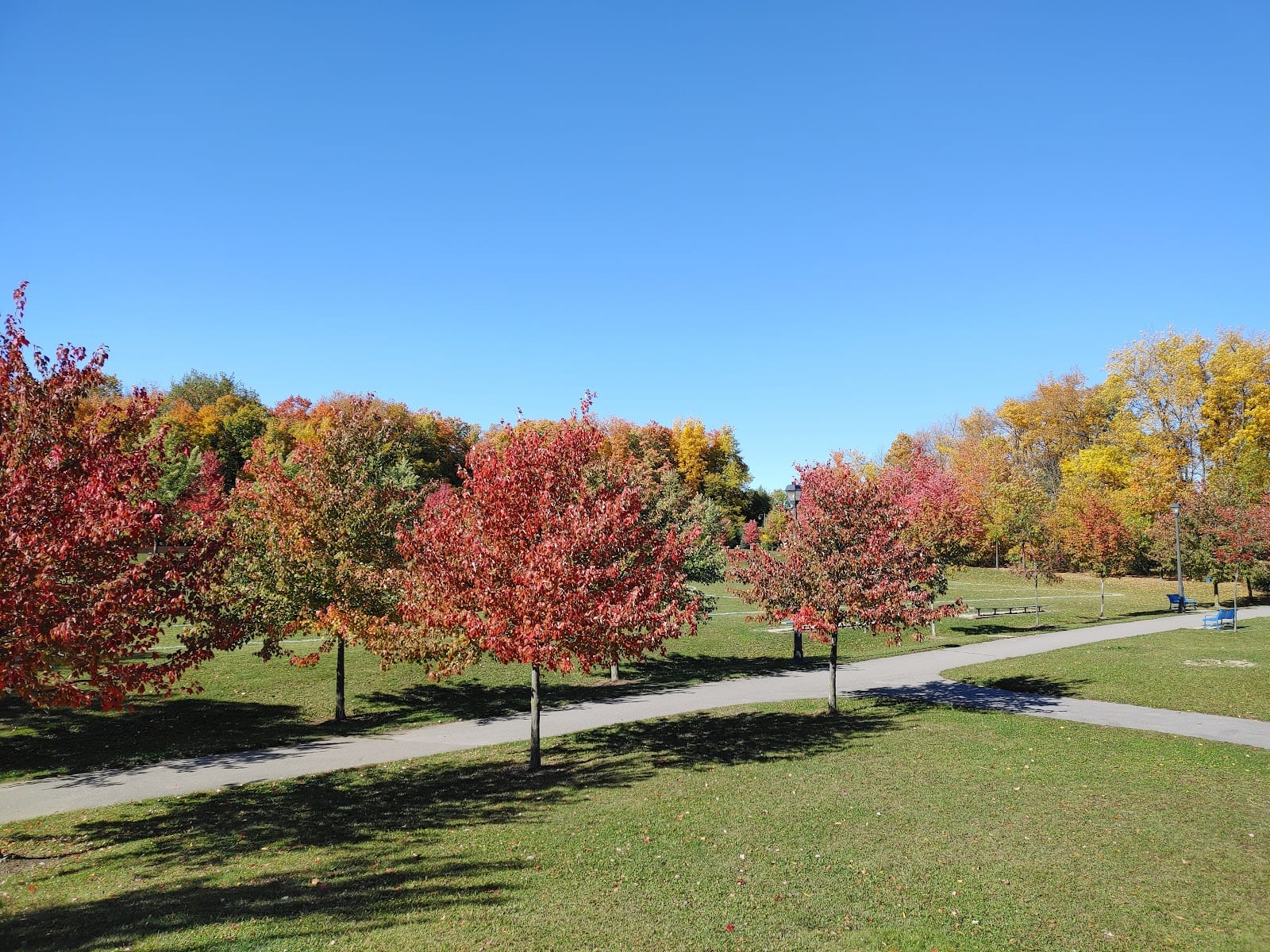 French Royalist Park