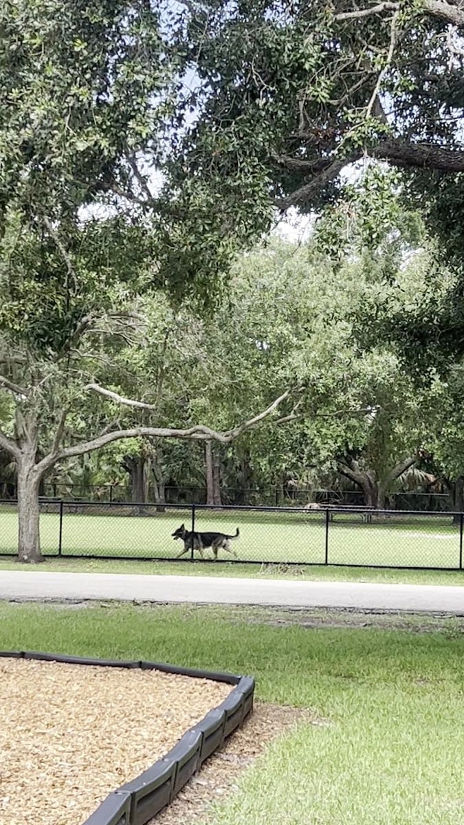 Dog Park at Al Lopez Park, photo 2