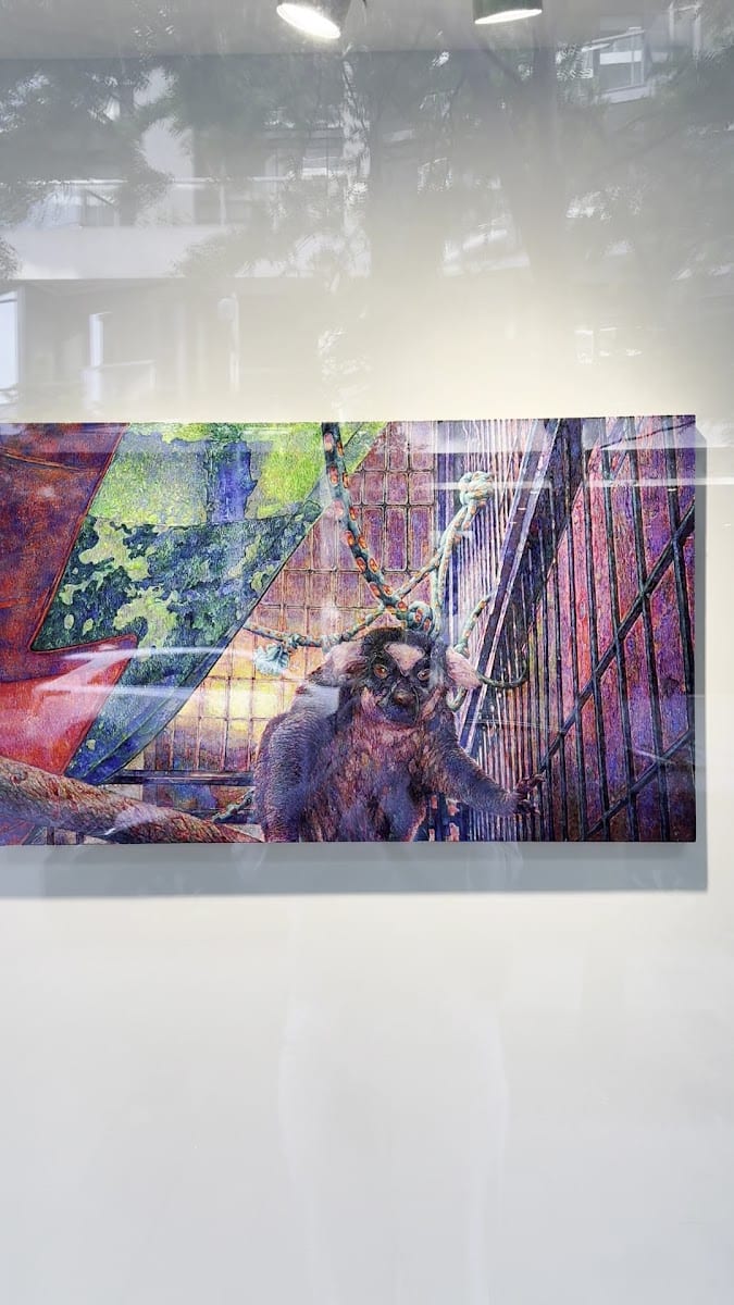 Bayside Gallery