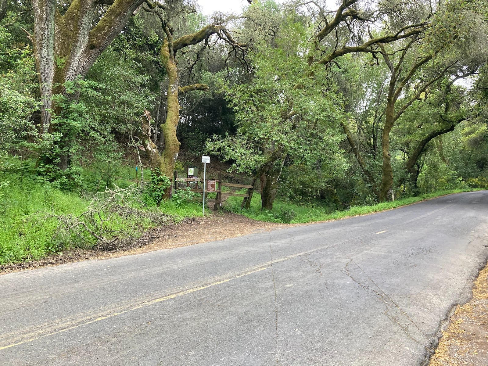 Westwood Hills - Thompson Trail Entry, photo 2