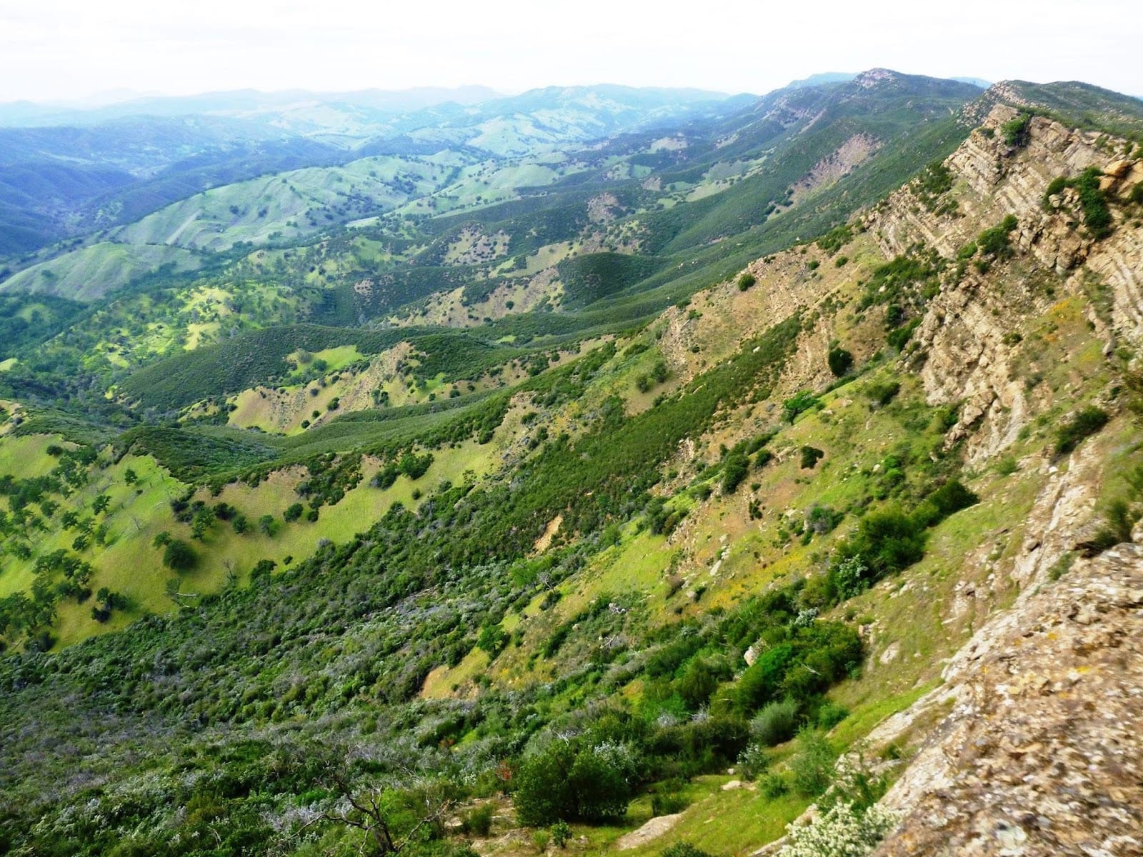 Berryessa Peak Trailhead, photo 3