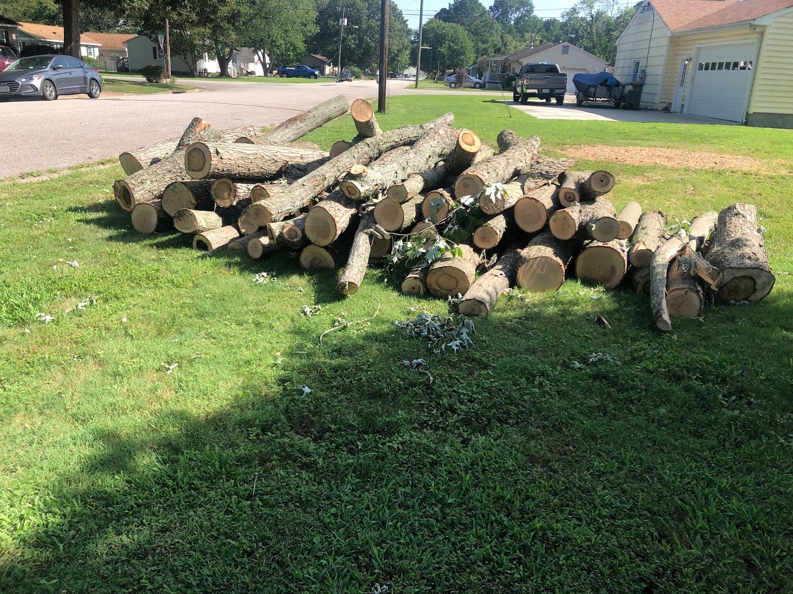 Trees R Us, Inc.