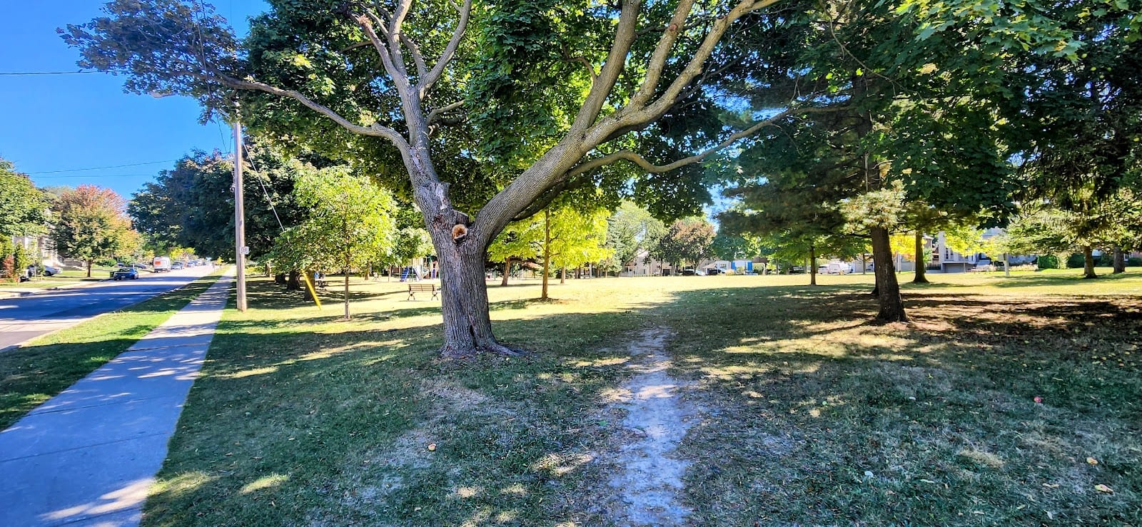 Dell Park, photo 3
