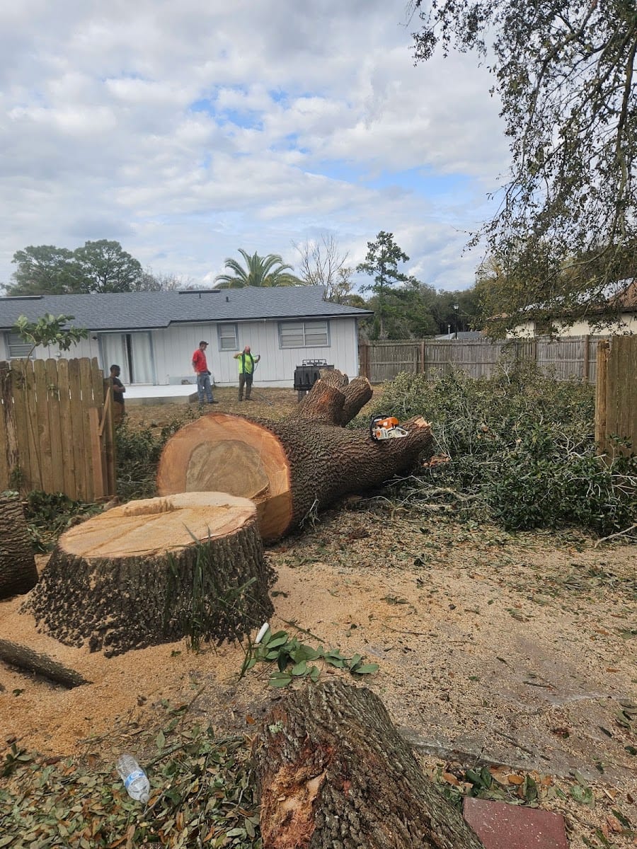 Patriot Trees And More LLC, photo 2