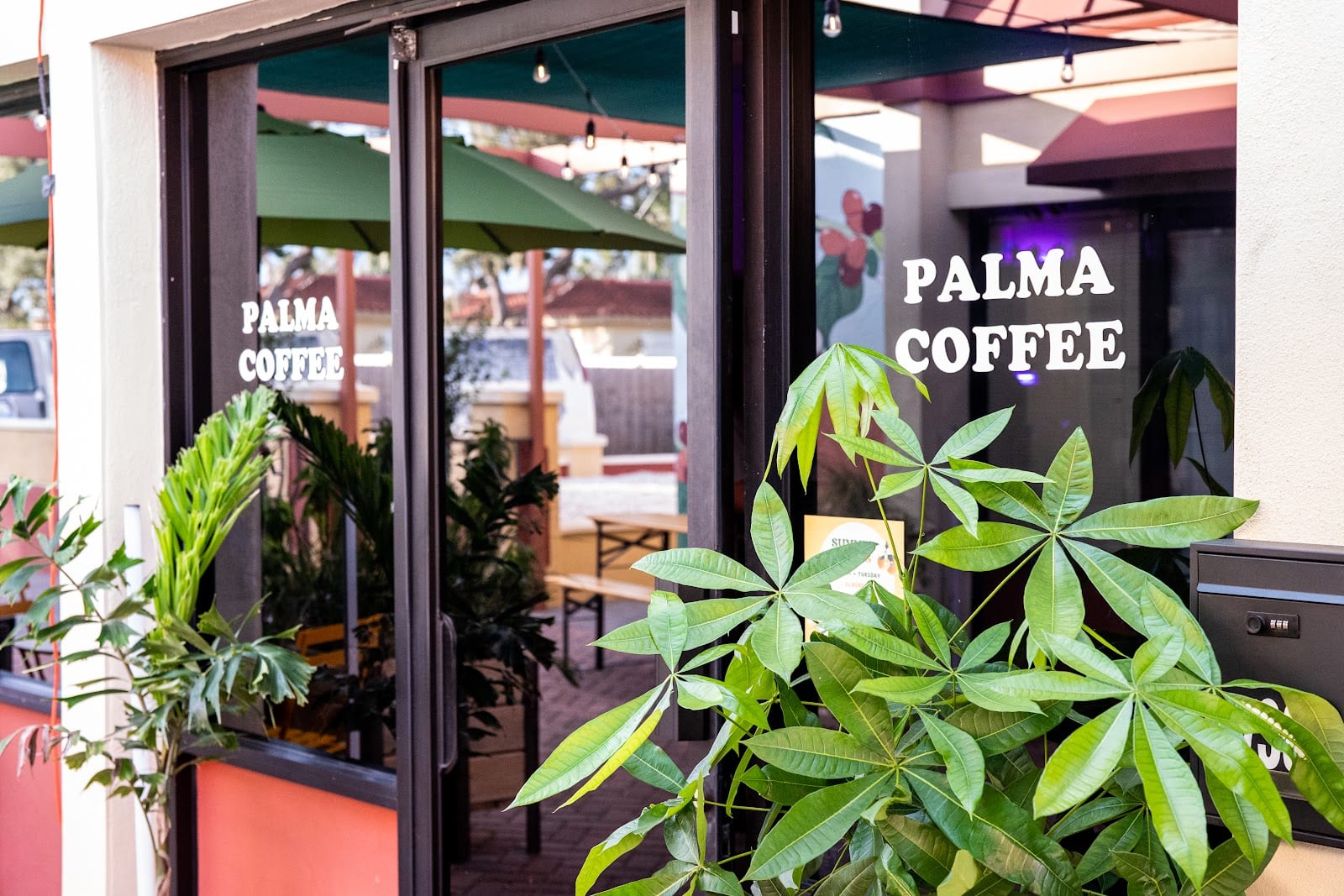 Palma Coffee