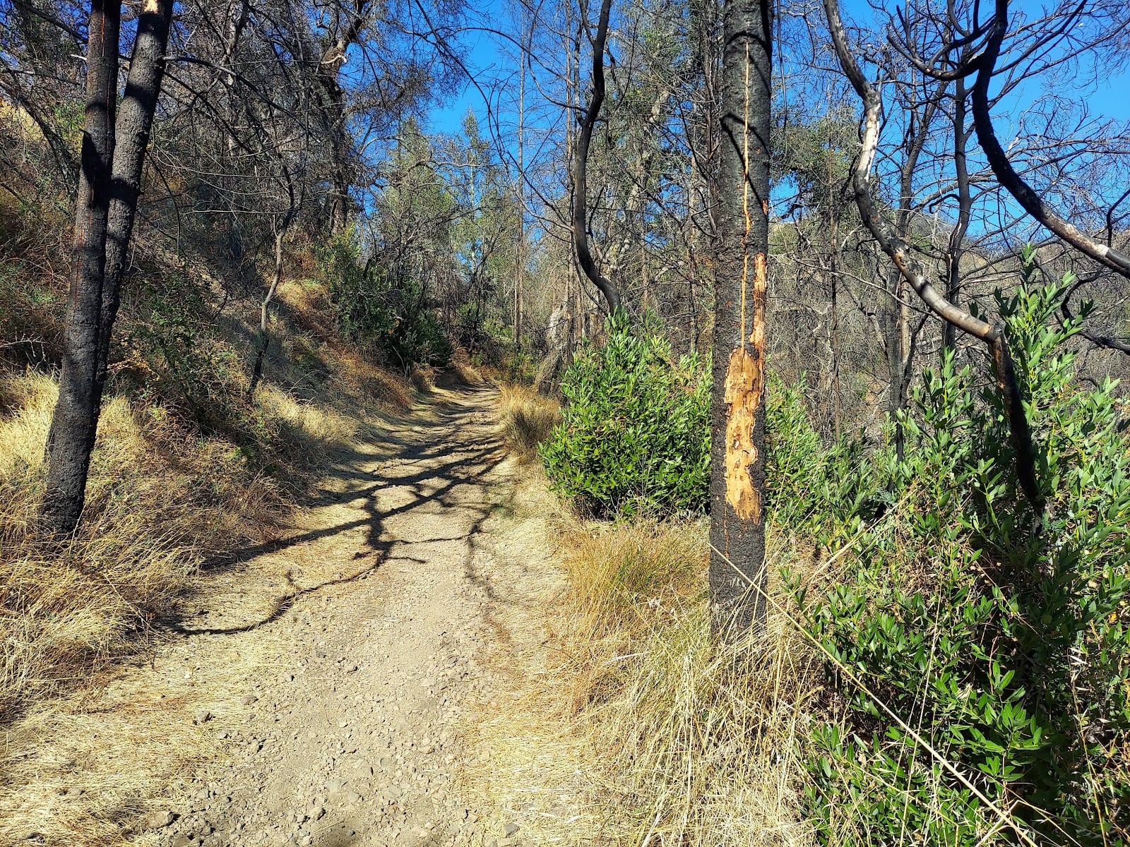 Oat Hill Mine Trailhead