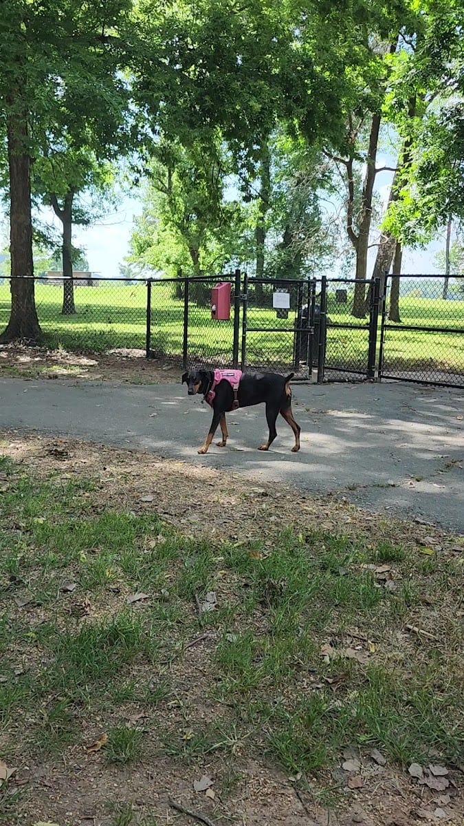 Paws Park at Murray, photo 2