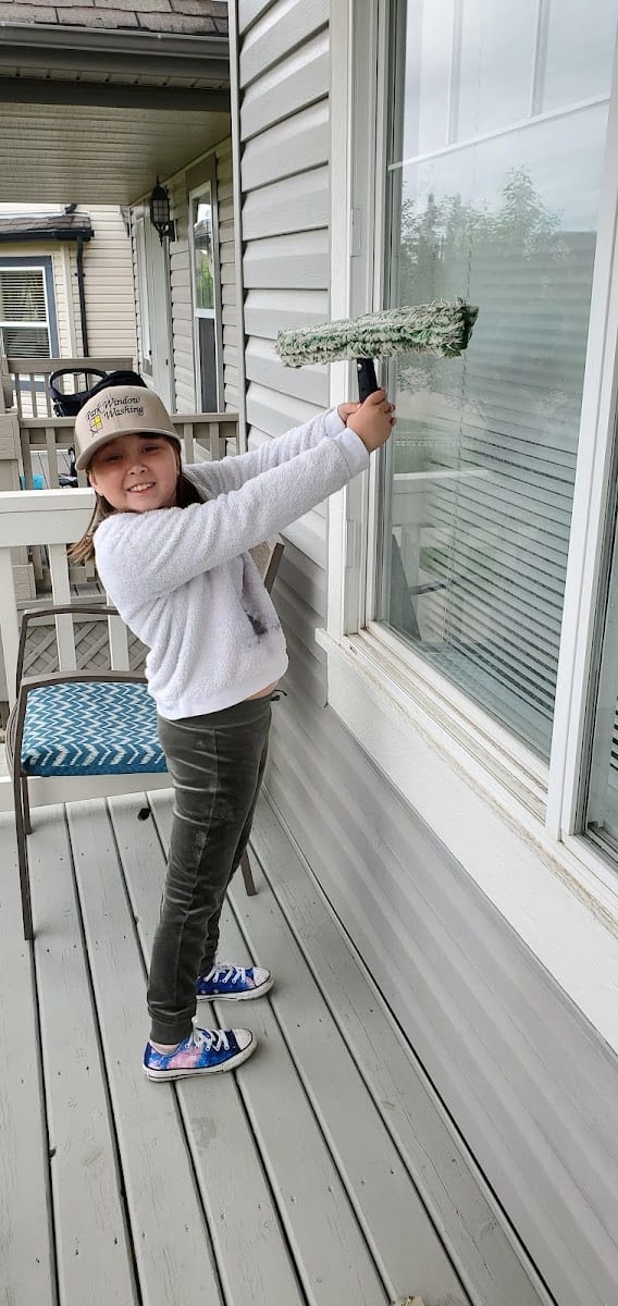 Park Window Washing, photo 4