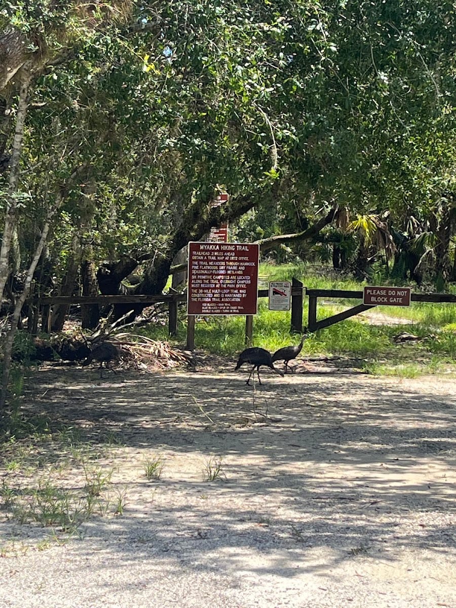 Myakka River State Park FPL Gate