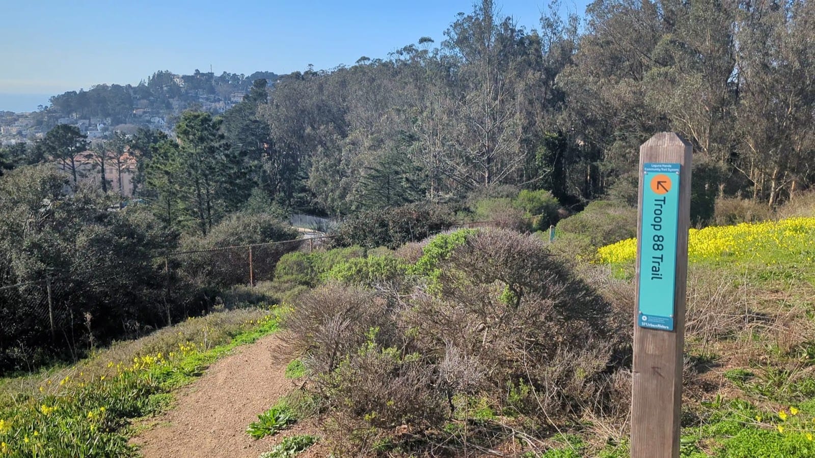 Laguna Honda Community Trail System, photo 2