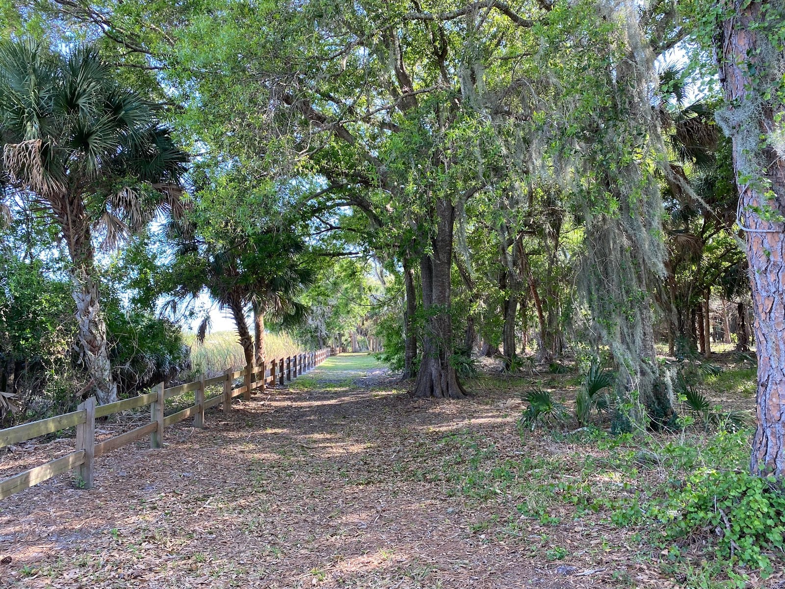 Curry Creek Preserve: West Entrance