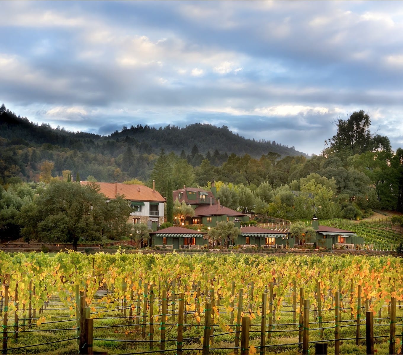 Le Petit Pali St. Helena, photo 2