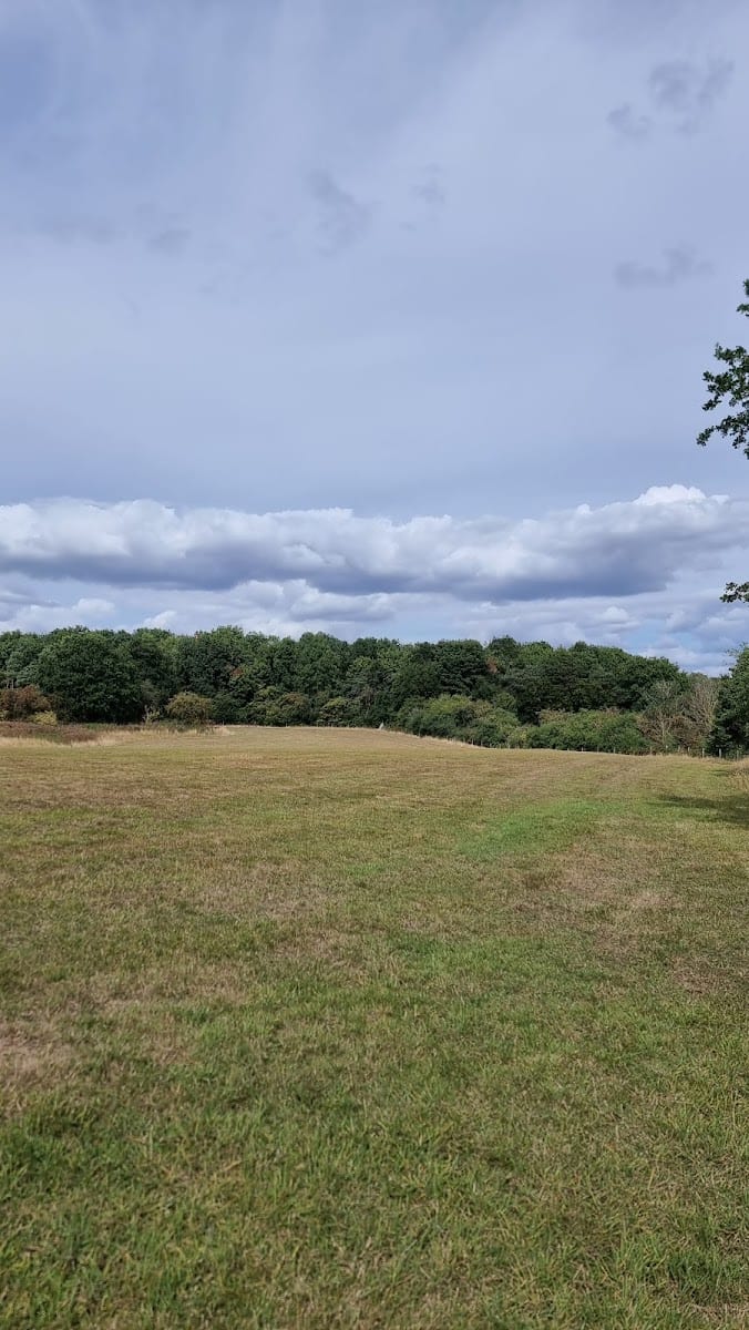 Brocket Hall circular walk