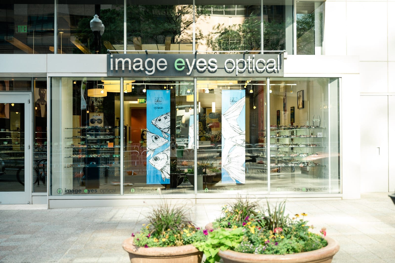 Image Eyes Optical Downtown