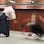 SHOSHINKAN - Las Vegas Martial Arts