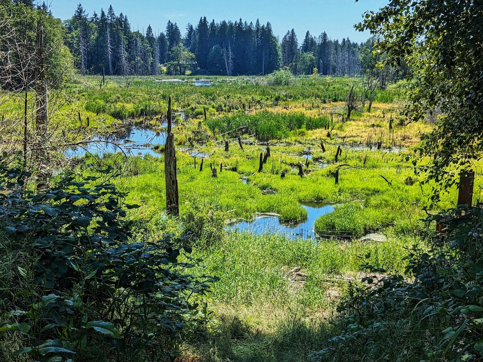 Taylor Wetlands Park, photo 2