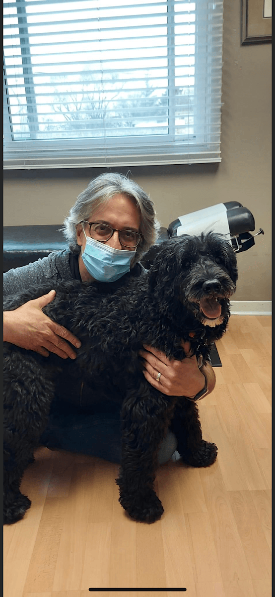 My Pet's Chiropractor
